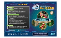 CuSO4.5H2O