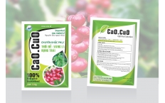  HC Bordeaux (CaO.CuO)
