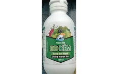 DD KẼM