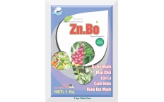 ZnBo